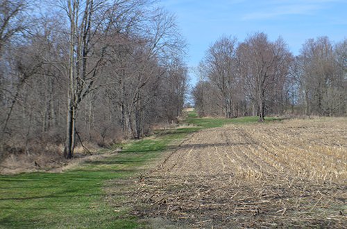 Property photo 120 - REAL ESTATE & PERSONAL PROPERTY AUCTION, 140 Acres offered in 8 Tracts or Combinations in Steuben County